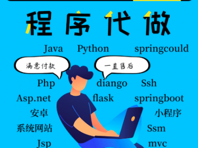 计算机程序设计java代做管理系统python安卓小程序php软件定制c#图2