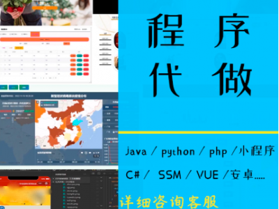 计算机程序设计java代做管理系统python安卓小程序php软件定制c#图3