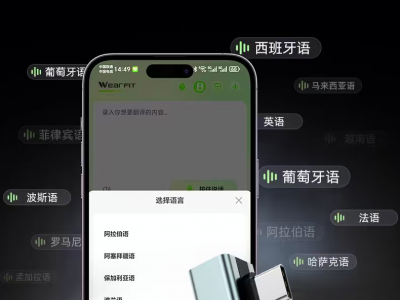 AI接口式翻译机图4